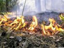 В Свердловской области начались лесные пожары