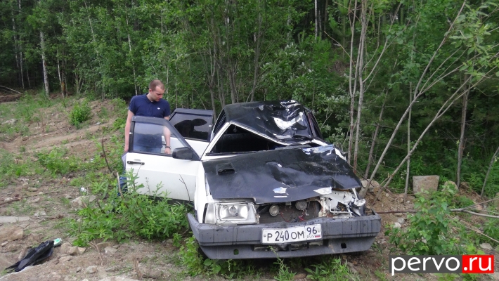 Под Первоуральском лось стал виновником смертельного ДТП