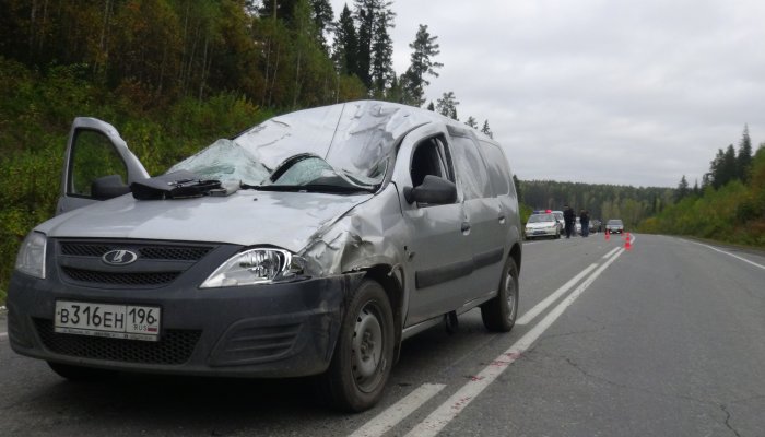 Под Первоуральском автолюбитель сбил очередного лося