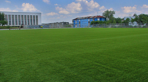 С 13 июля в Первоуральске открываются стадионы и спортивные секции
