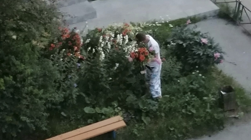 В Первоуральске один из горожан нарвал цветы в палисаднике