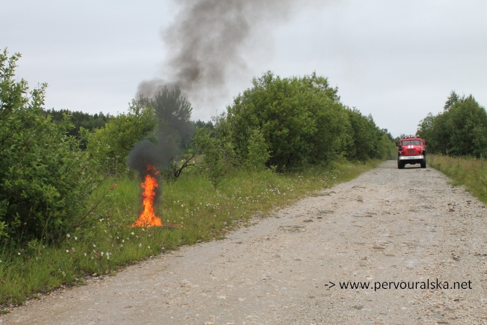 Тушением лесных пожаров в Первоуральске занимается не только пожарная охрана