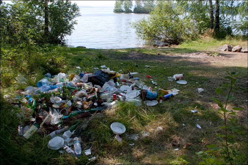 В Первоуральске общественники-экологи избавили от мусора один из водоемов