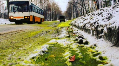 В Первоуральске снова зеленый снег