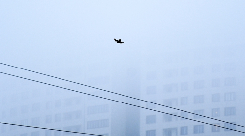 Ветра нет, но вы держитесь: смог в Первоуральске не рассеется еще четыре дня