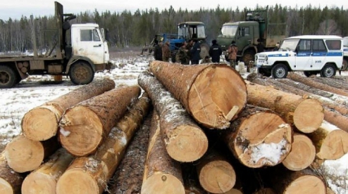 антирейтинг по незаконной вырубке леса