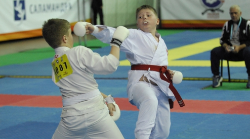 23 февраля в городе Первоуральске состоится соревнования по всестилевому каратэ