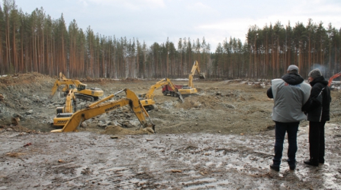 ОНФ обратился в полицию Первоуральска после выявления незаконной рубки леса