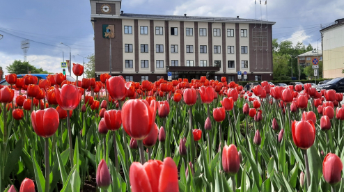 В центре Первоуральска распустились сотни тюльпанов