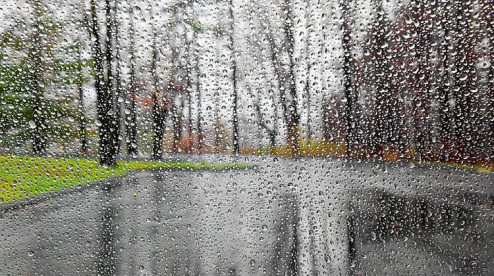 Дождь в Первоуральске будет лить десять дней подряд